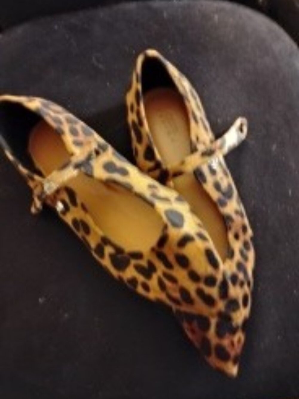 Leopard print ladies Mary Jane flats.